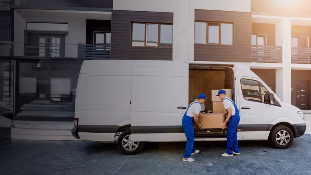 Domestic Delivery